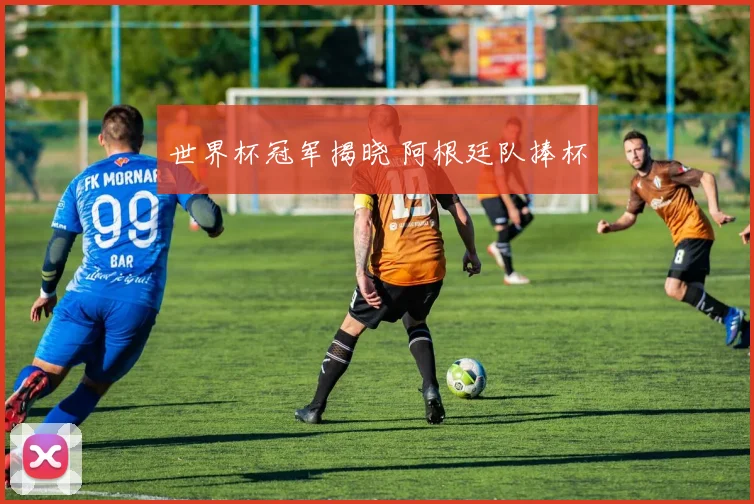 世界杯冠军揭晓 阿根廷队捧杯