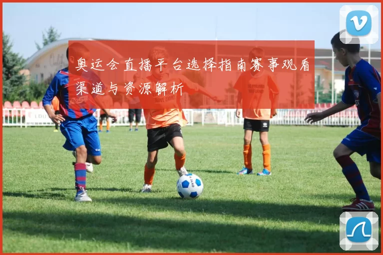 奥运会直播平台选择指南赛事观看渠道与资源解析