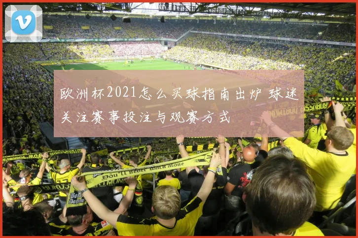 欧洲杯2021怎么买球指南出炉 球迷关注赛事投注与观赛方式