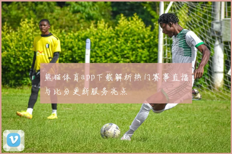 熊猫体育app下载解析热门赛事直播与比分更新服务亮点